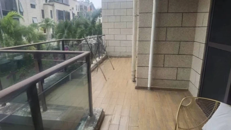 Liantou · Hibiscus Rhythm - View 13