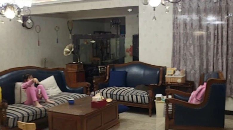 JinDi Artistic Vision - View 1