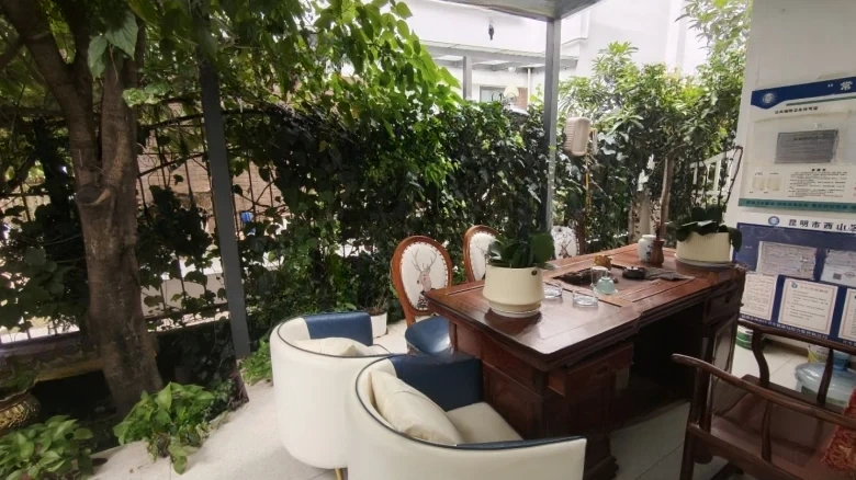 Dianchi Weicheng Ziyong - View 4