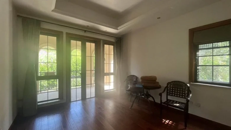 Dream Stream Lake Manor - View 21