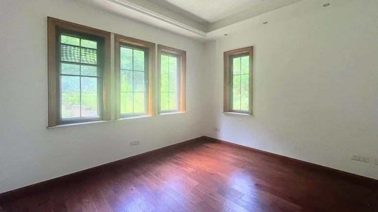 Dream Stream Lake Manor - View 6