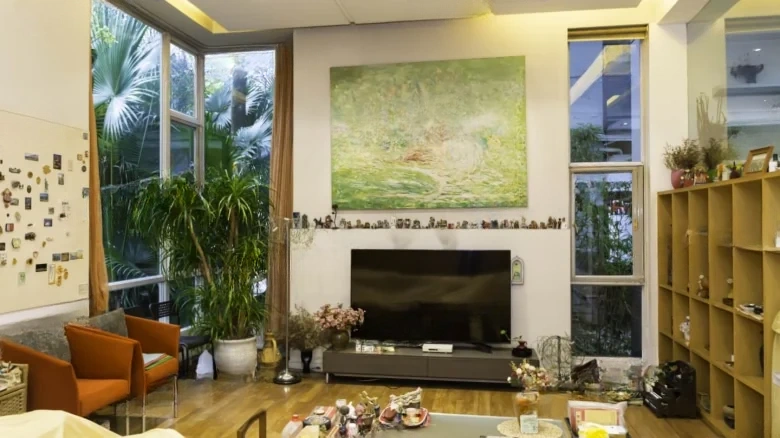 Jinlin Peninsula - View 13