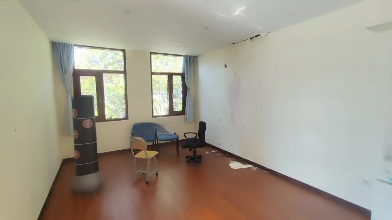 Dianchi Forest - View 1