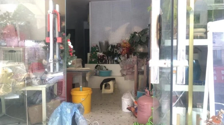 Beicheng Residential Area Osmanthus Garden - View 1