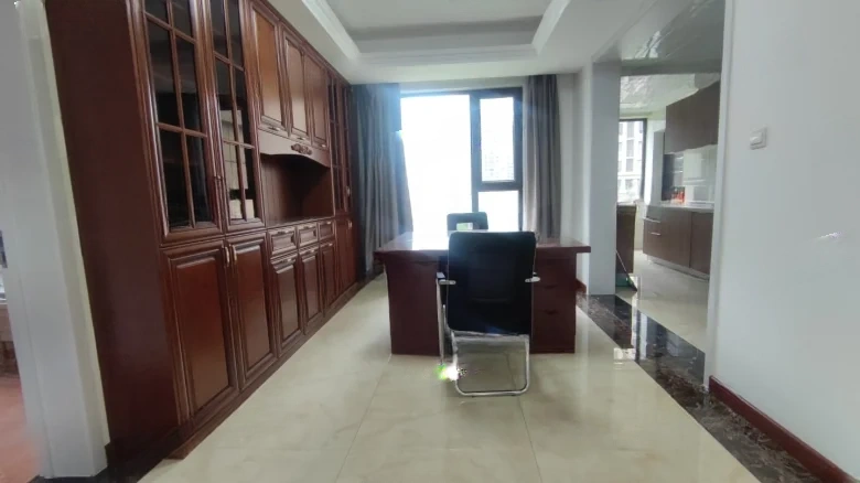 Swan Castle - View 5