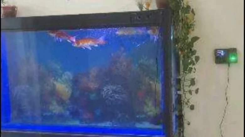 Zhongtian Tower Lüyuan District - View 5