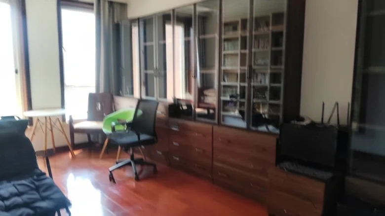 China Overseas Rhine East District - View 4