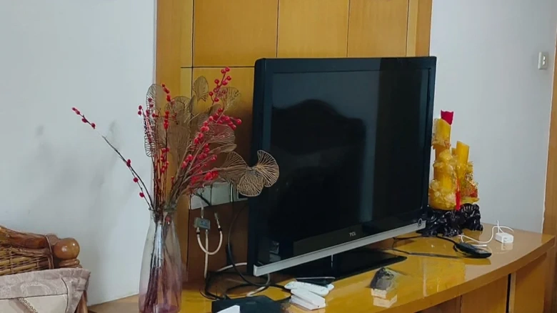 East District of Harbor Lake Garden - View 5