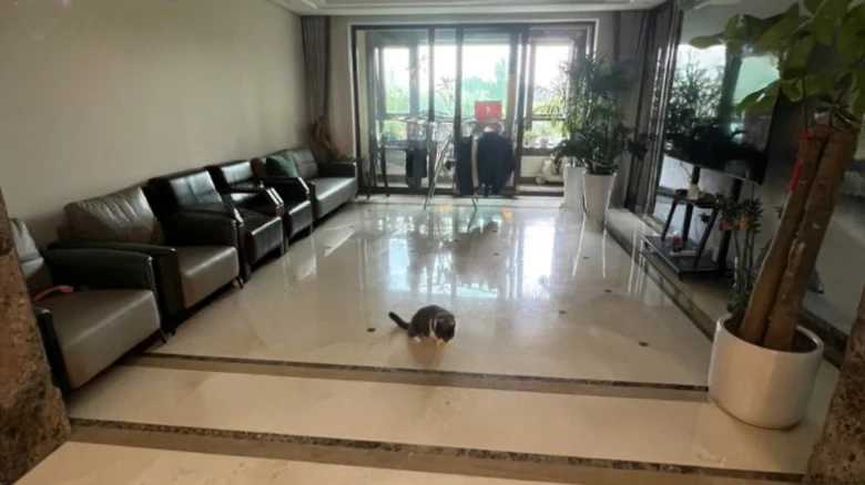 Vanke Platinage Garden - View 1