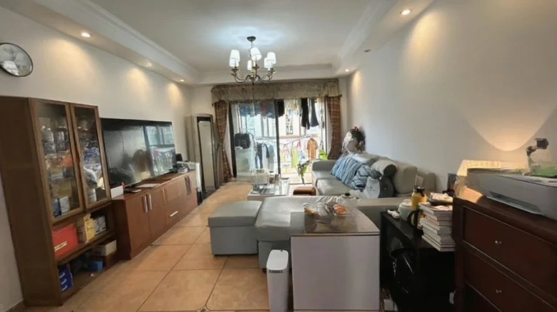 Sunshine Flower City - View 1