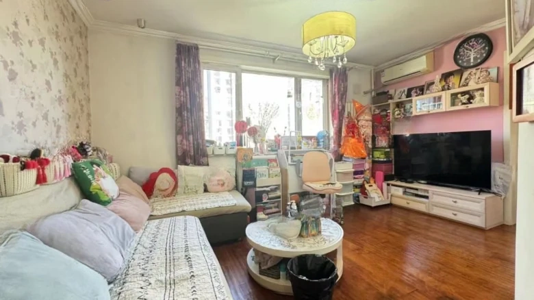 Wangjing Garden West District - View 1