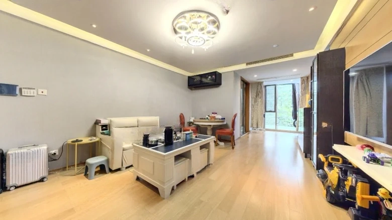 Zhongxin Xinghu Gongguan - View 1