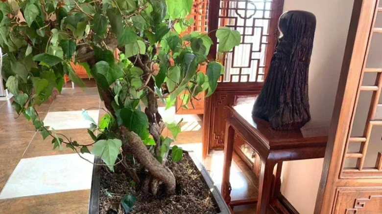 Aocen Wealth Plaza - View 7