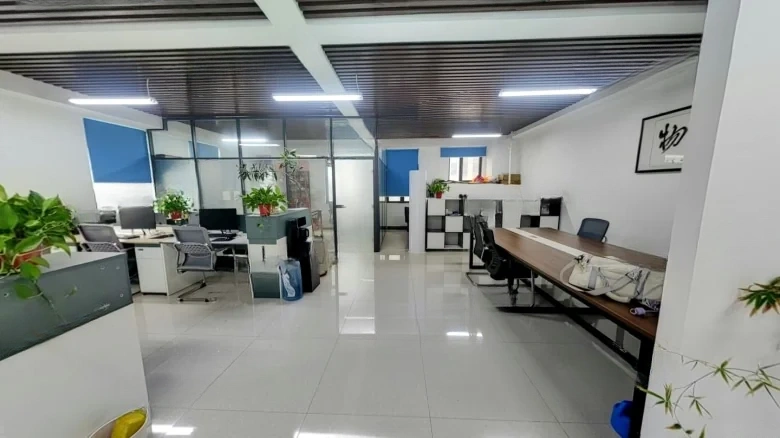 East 8 District Corporate Mansion - View 5