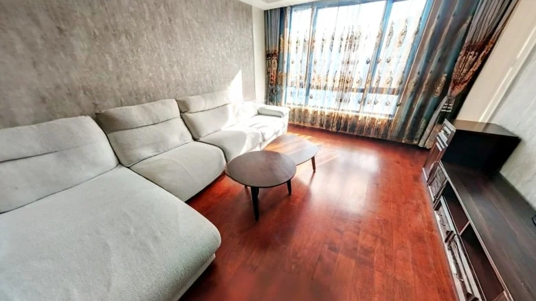 Maple Dan No.1 - View 5