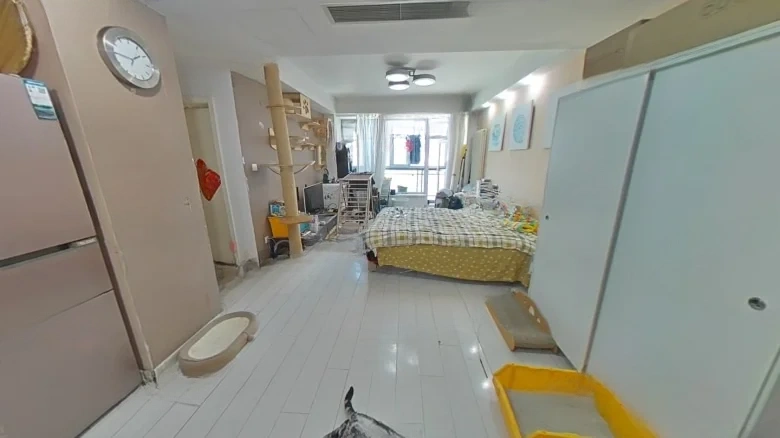 Tianxing Roosevelt - View 1