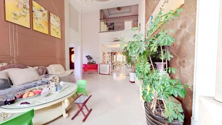 Shimao Linglong Terrace - View 7