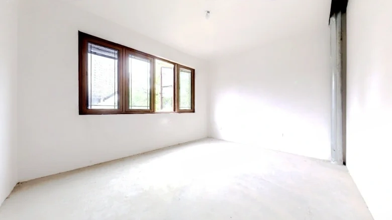 Phoenix Perches on the Parasol Tree - View 1