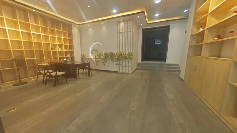 Zhuoda Constellation Gold Seat - View 5