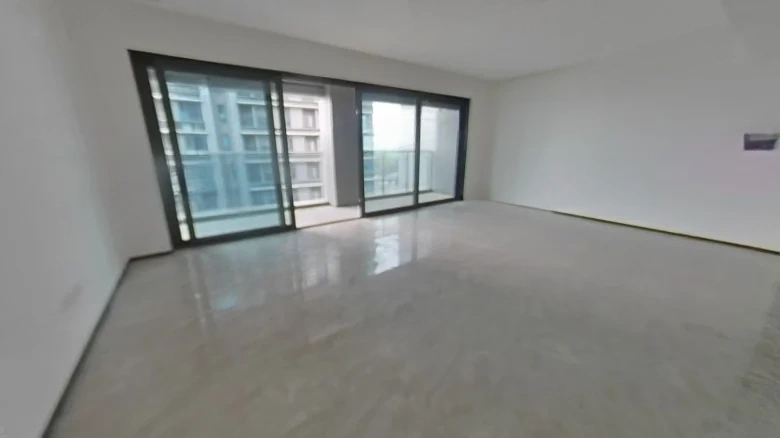 Green City · Phoenix Perches, Egrets Singing - View 7