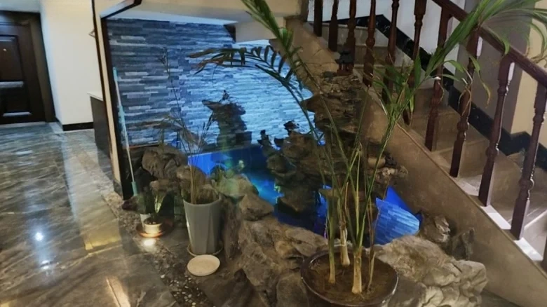 New City Garden - View 1