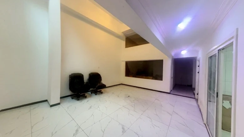 Jinglin Original Manuscript - View 13