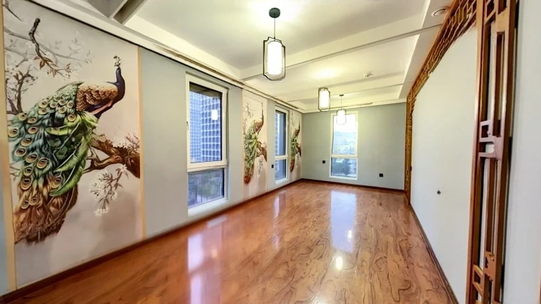 Wanguo City MOMA - View 3