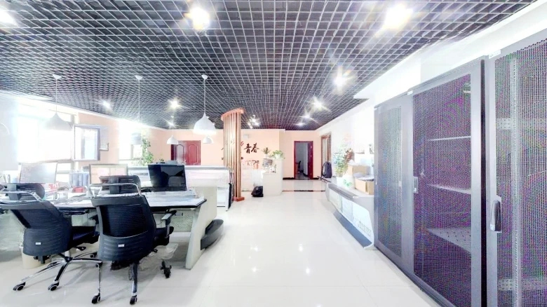 Lungxing Tower - View 3