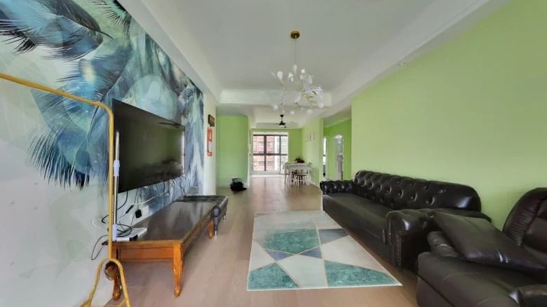 Jiangshan Ding - View 1