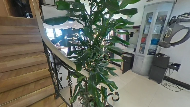 Garden in the City (Lin'an) - View 19