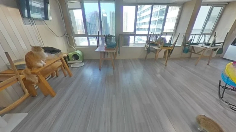 Wanda 39 Carats - View 3