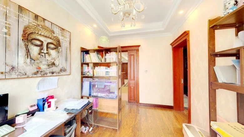 Peninsula Mansion - View 1