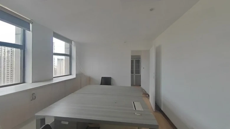 Lifan Hongxing International Plaza - View 1