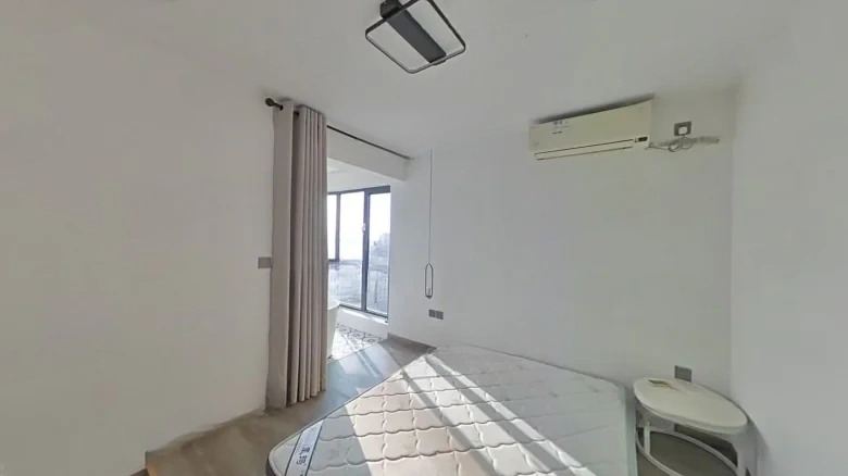 Lushang Capital Mansion - View 1