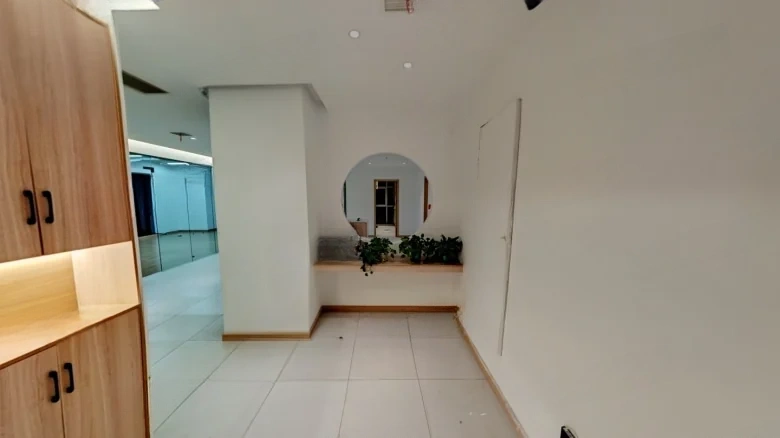 Oriental Hibiscus - View 1