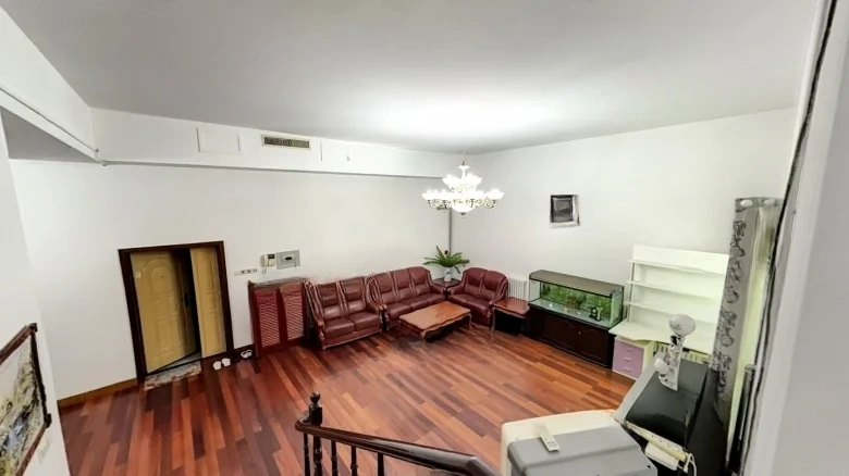 Three Arrows Silver Garden - View 8