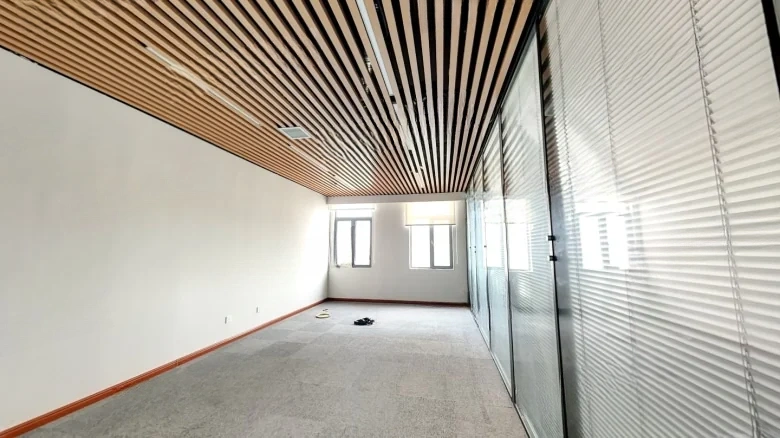 East 8 District Business Mansion - View 4