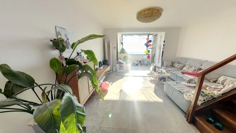 Rhine River畔 - View 1