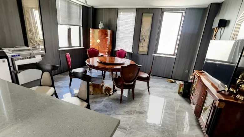 Sutong 1号 - View 11