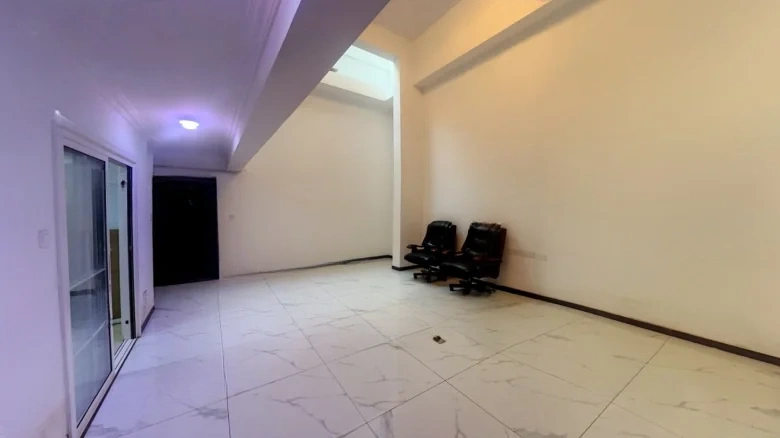 Jinglin Original Manuscript - View 12