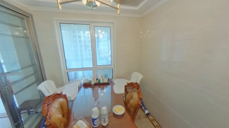 Howson Mingjia - View 6