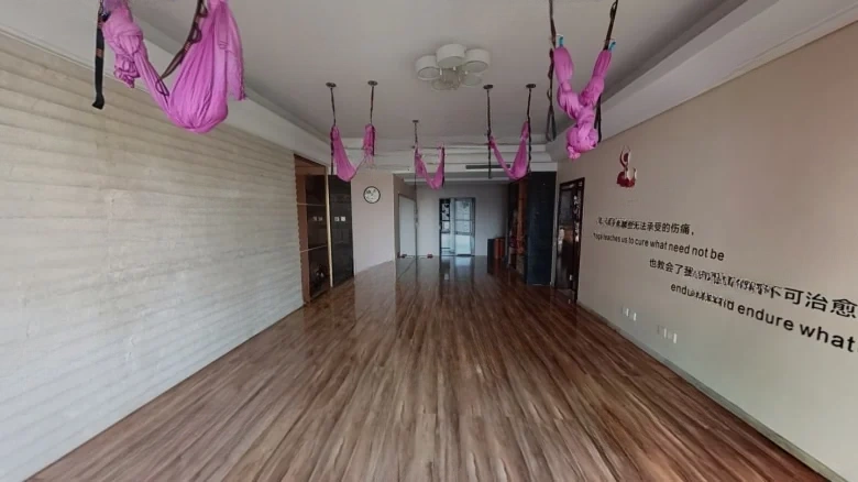 Prosperity Double Joy City - View 8