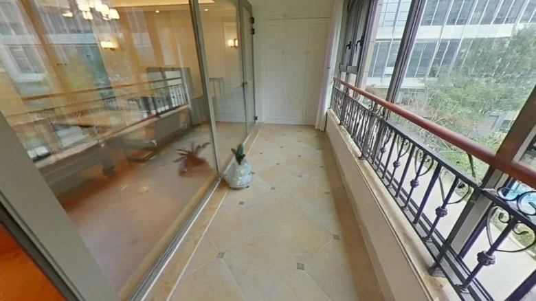 Cloud Seal - View 11