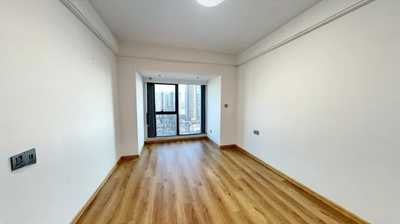 Dingfeng Lujiang 1号 - View 5