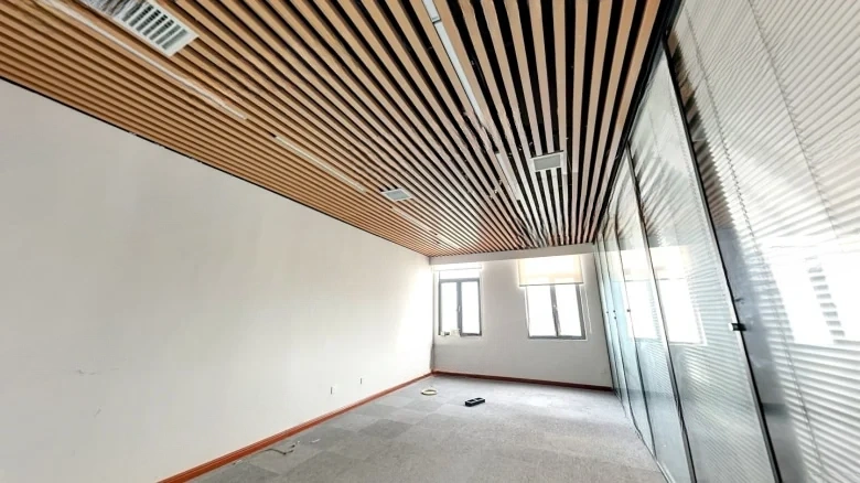 East 8 District Business Mansion - View 9