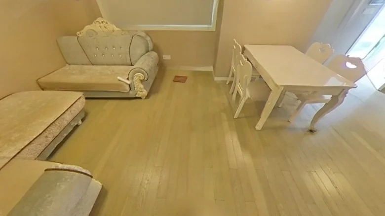 Hua Yuan Swan Castle - View 6