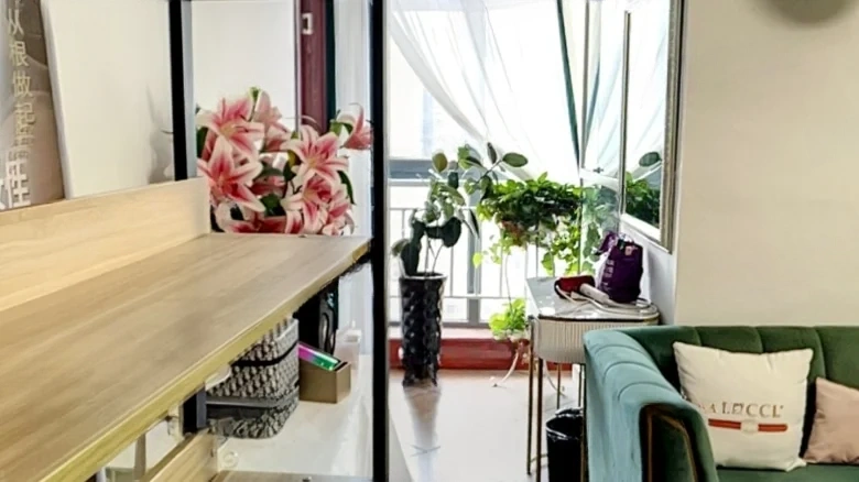 COLI International - View 7