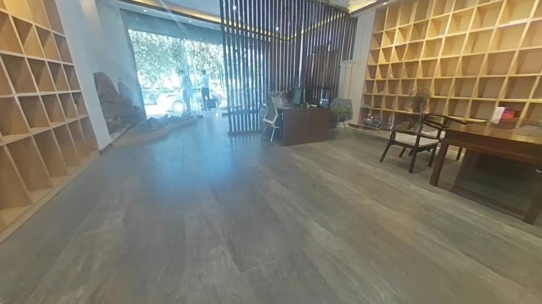 Zhuoda Constellation Gold Seat - View 6