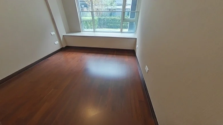 Clearing Splendor Court South District - View 1