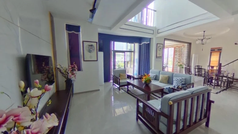 Blue Mountain Beauty Trees - View 7